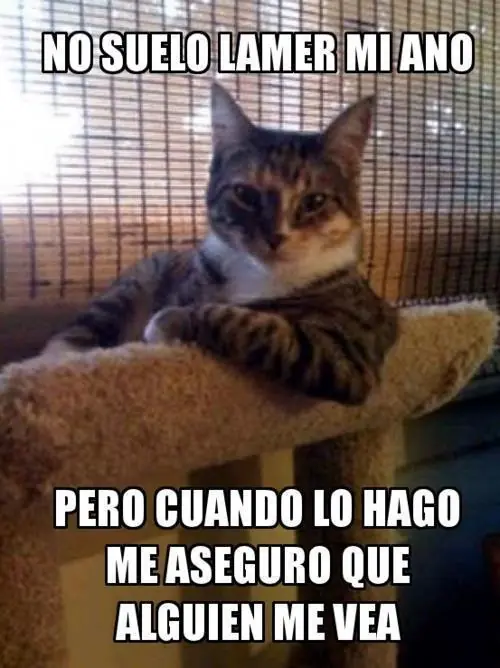 humor