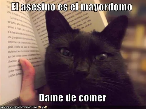 gatos