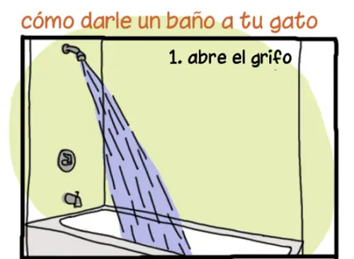 reir