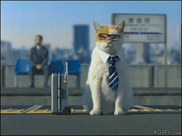 Gifs