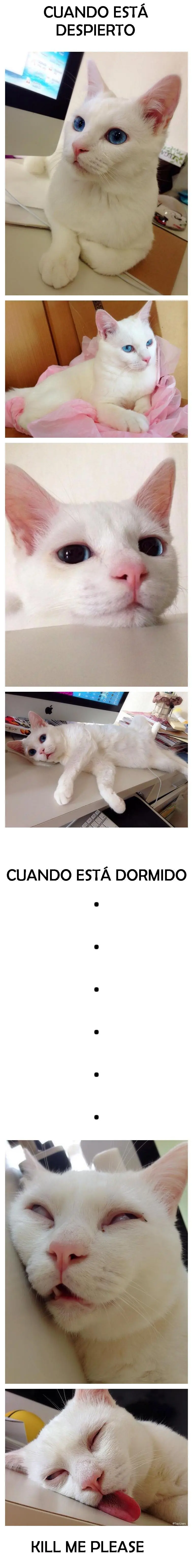 imagenes muy chistosas