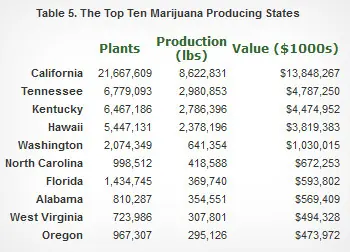 Marihuana: 6 realidades sobre su industria legal.