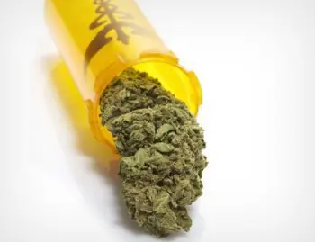 Marihuana: 6 realidades sobre su industria legal.