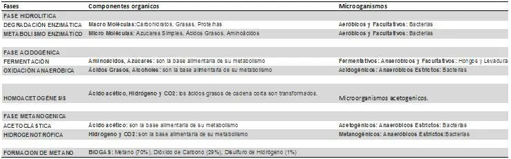 ecologia