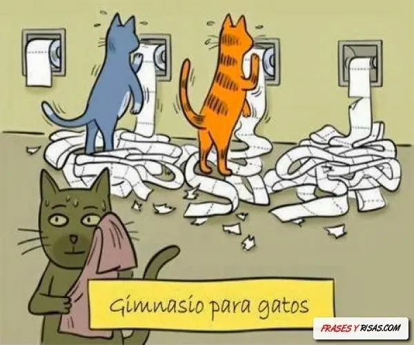 imagenes muy chistosas