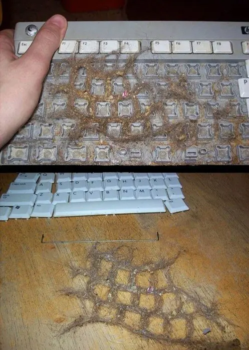 rotas
