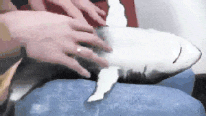 Mp¿Aburrido?Imagenes de humor parte 3