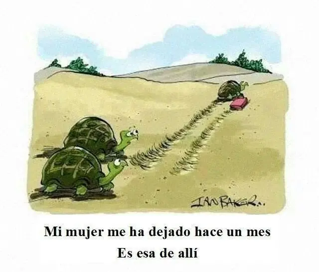 humor