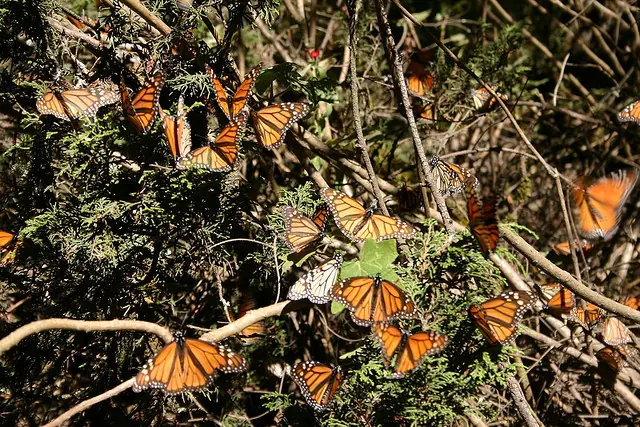 lugares hermosos de mexico