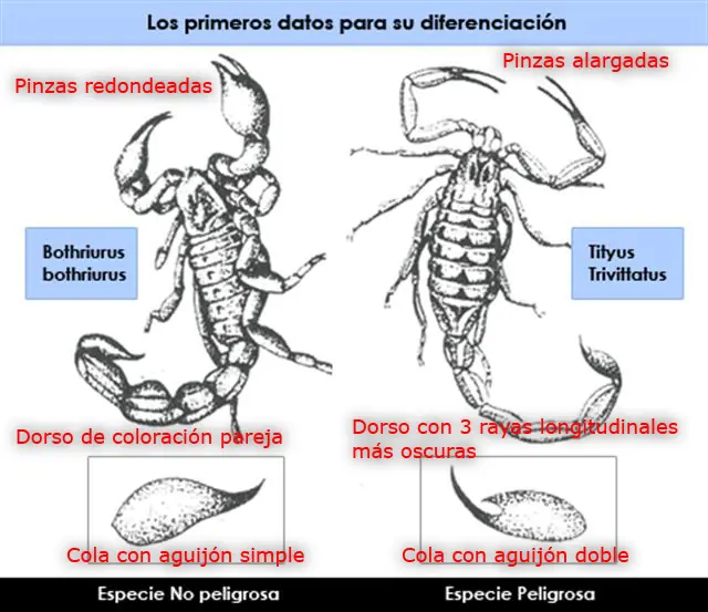 Alacranes
