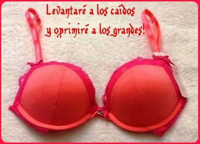 Reir...Pensar...Reir (24)