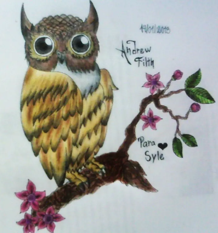 Algunos dibujos que he hecho.