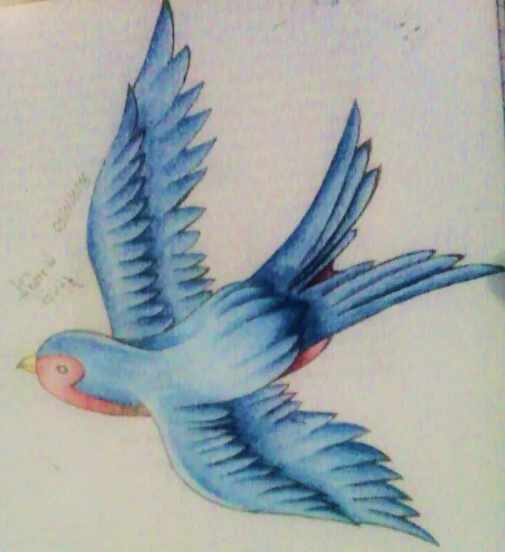 Algunos dibujos que he hecho.