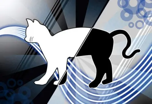 Fedora 19 será Schrödinger’s Cat