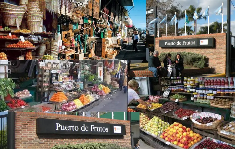 opciones de paseo