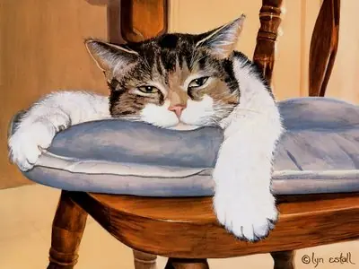 Aburrido de nuevo? Entrá!