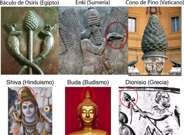La glándula pineal: ¿nuestro tercer ojo?