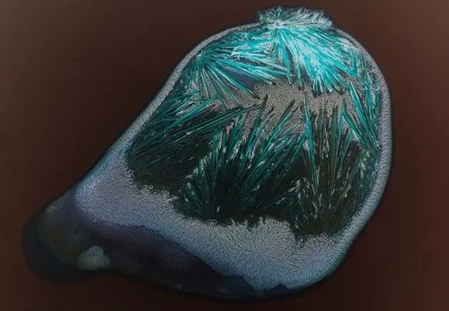 imagenes microscopicas
