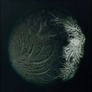 imagenes microscopicas