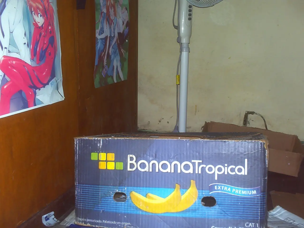 carton