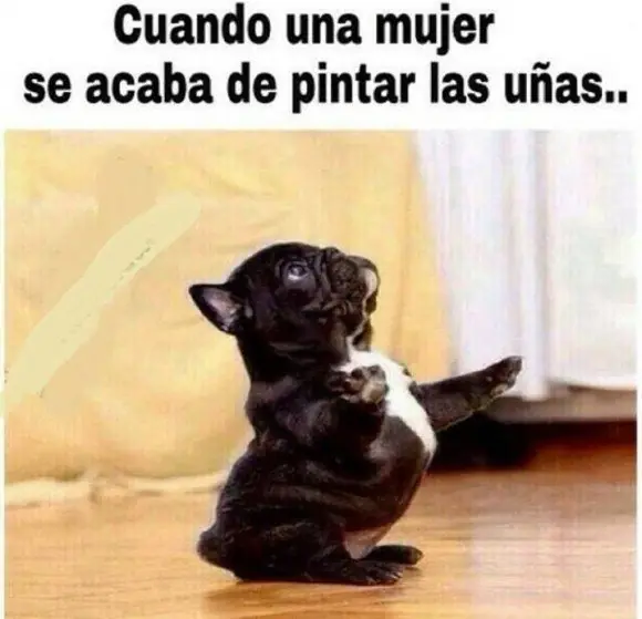 humor