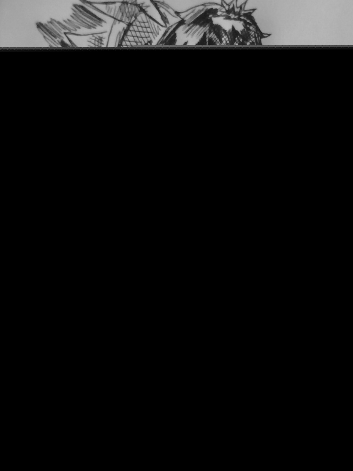 bocetos