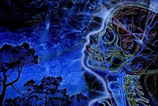 como activar la glandula pineal