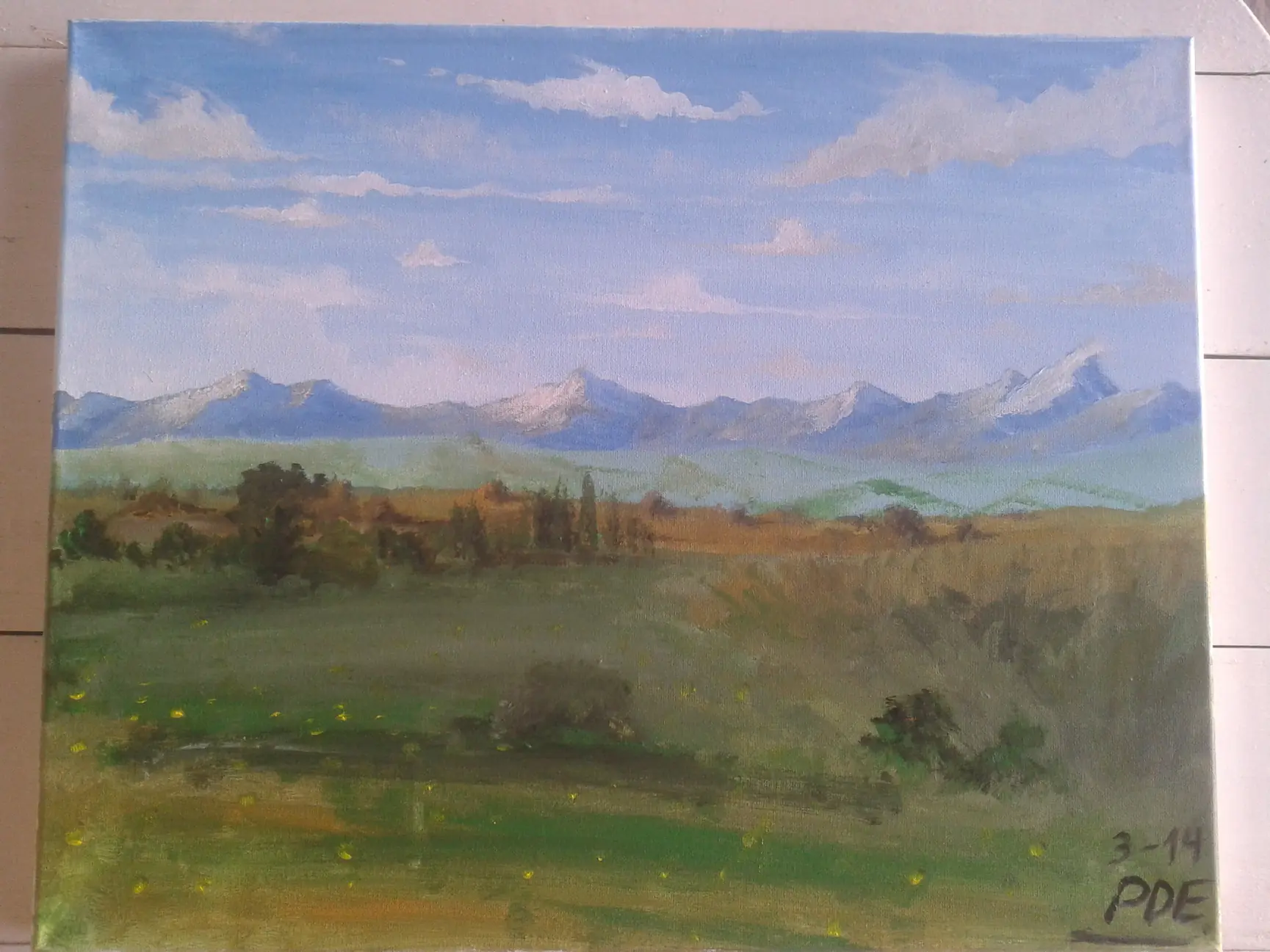 pintar