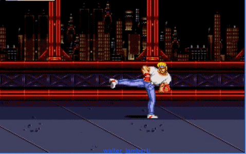 final fight