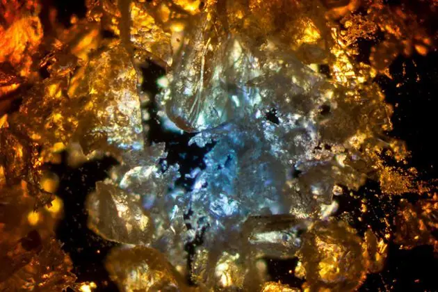 microscopio