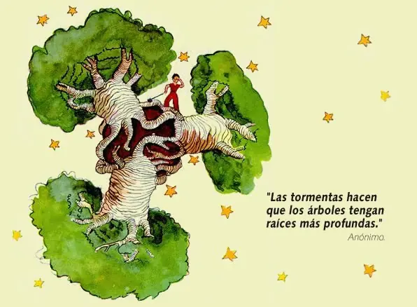 frases