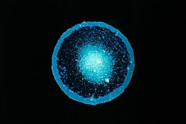 drogas