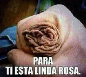 humor
