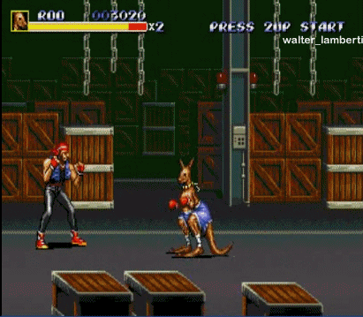final fight