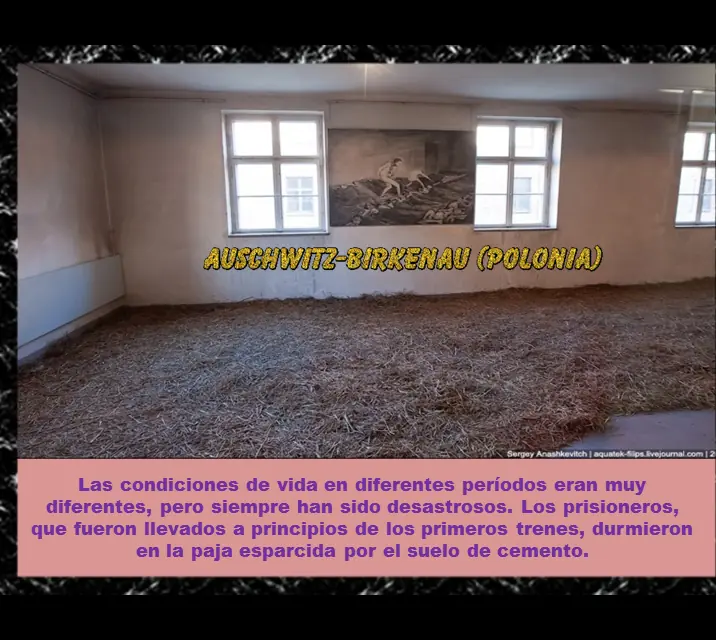 Campos de concentración Nazis (cuarta resubida)