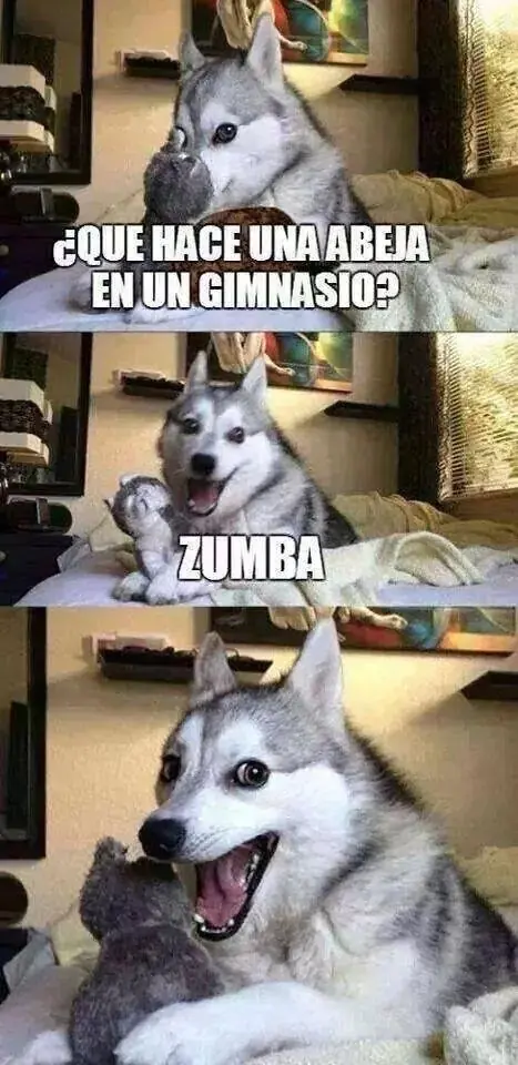 Un poco de humor para el sábado.