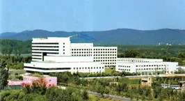 corea del norte