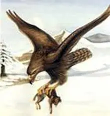 Aves Gigantes: Monstruos Aéreos
