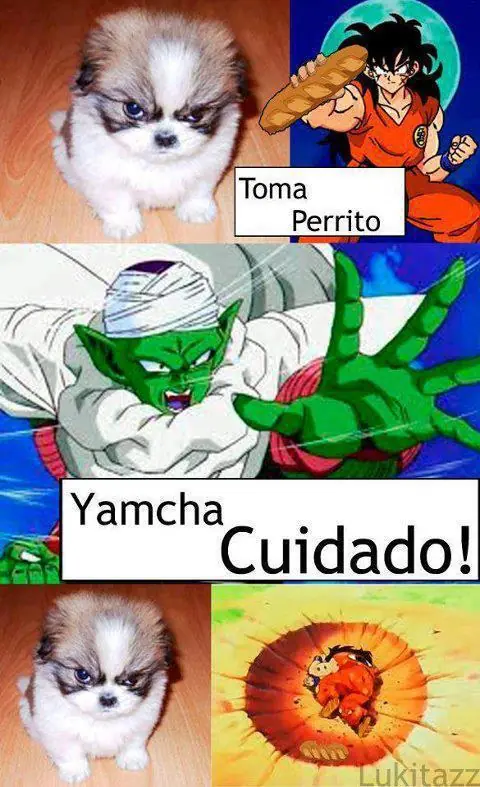 Imagenes graciosas