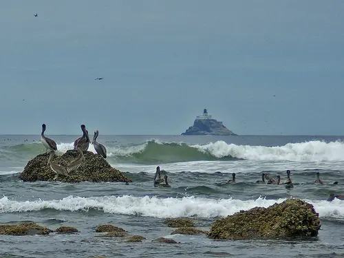 Faro