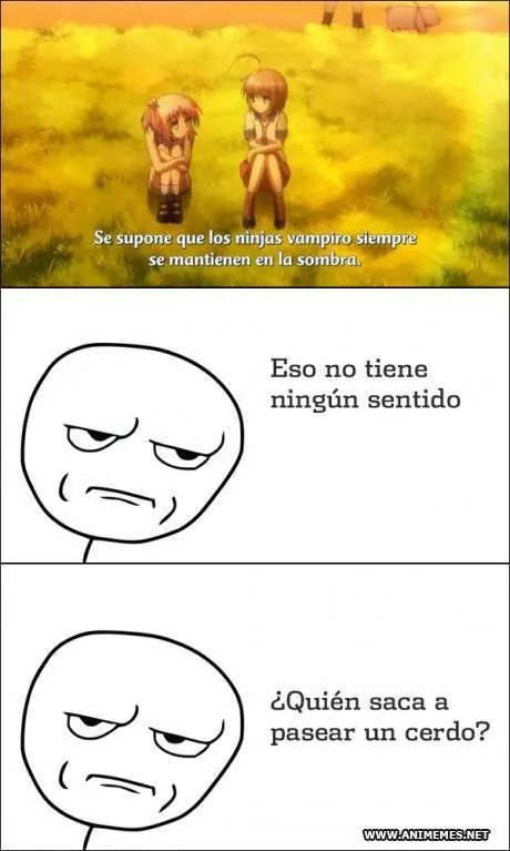 fairy tail