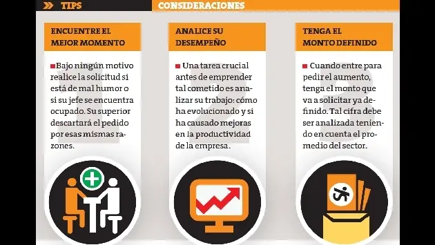 curriculum vitae