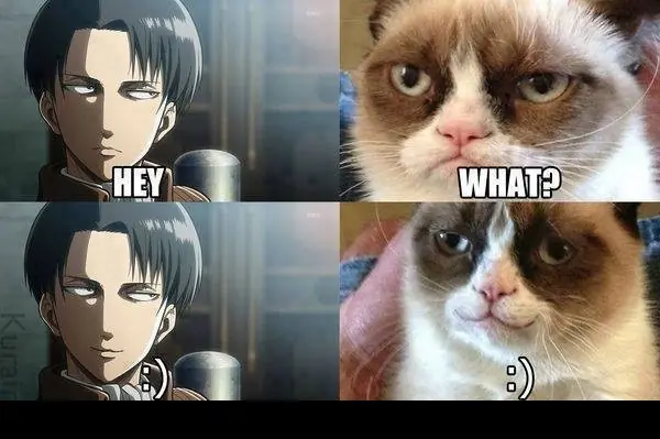 shingeki no kyojin