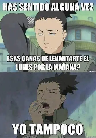 Imagenes graciosas