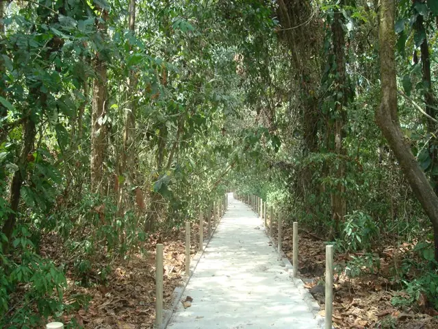 bosques