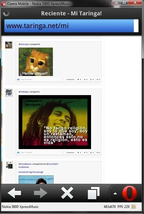 memes msn
