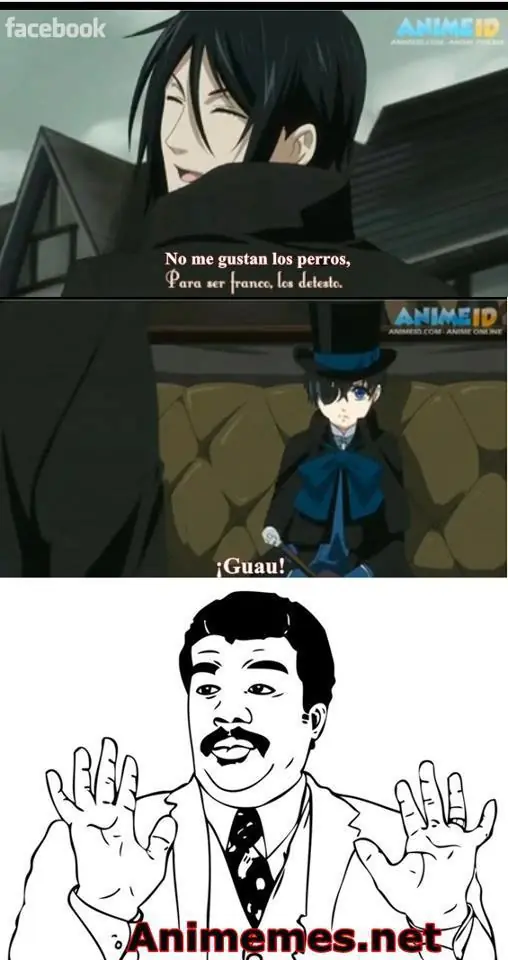 fairy tail