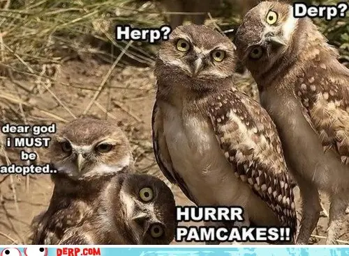 humor
