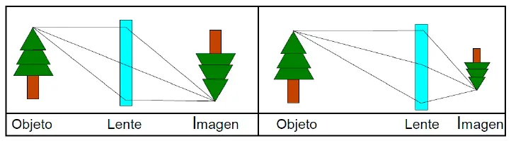 ciencia