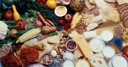 Preguntas de la Vida Cotidiana